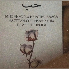 Изалия Картоева, 05.07, Oxford