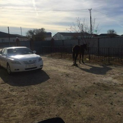 Изтурганов Сеитжан, 29.05, Атырау