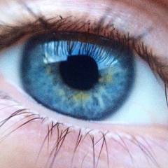 Елена , Рига