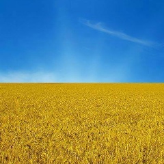 Виктор Петров