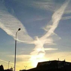 Оленка Елена, 20.10, Киев