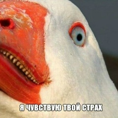 Царь Гусиный