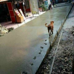 นะโม คนดี, 22.09.1989