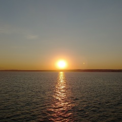 Дмитрий Суворов, Санкт-Петербург