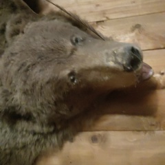 Мурад Ахмедханов, 22.03, Москва