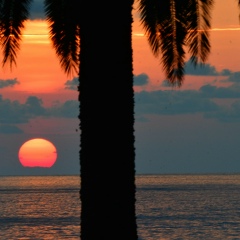 Сергей Tarzan, 26.02, Уфа