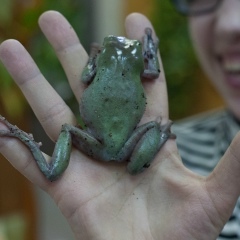 Наталья Варлакова, 26.10, Санкт-Петербург