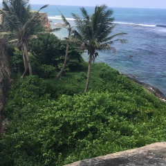 Марина Гаврилова, 29.06