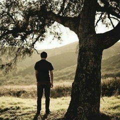 Аділбек Сримов, 29.11, Шымкент