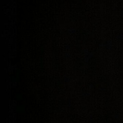 Ольга Борток, Вильнюс