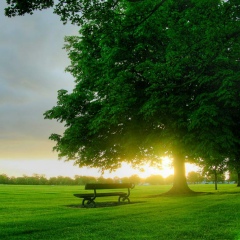 Жандос Ильяшев, 22.07, Астана