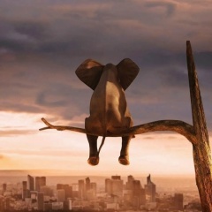 Константин Афанасенко, 08.11.1979