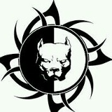 Леонід Бевза, 19.12