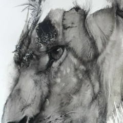 Анастасия Орлова, 24.07.1988, Москва