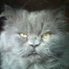 Дмитрий Скитаев, 21.05, Луганск