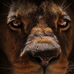 Владимир Матвеев, 21.11.1905, Ыб