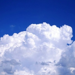 Илья Черный, 11.08.1978, Санкт-Петербург