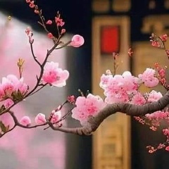 Gekka Reijin, 01.08, Севастополь