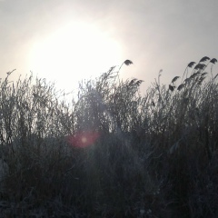 Take Take, Актобе