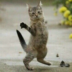 Артём Иванов, 14.02, Москва