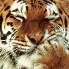 Ярик Шестоперов, 09.07.2003