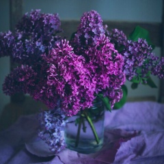 Дмитрий , 25.01.1990