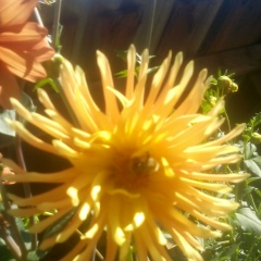 Татьяна Ищенко