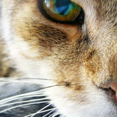 Алексей Савин, 08.04, Орёл