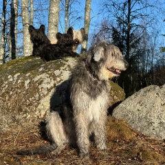 Ирина Смирнова, Санкт-Петербург