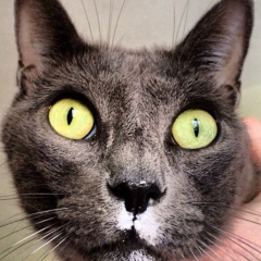 Руслан Рахматуллин, 31.05.1978