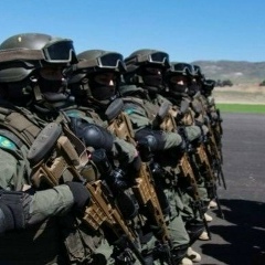 Сеид Берген, Abu Dhabi