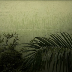 Ник Ник, Алматы