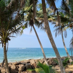 Андрей Гладкин, 08.02, Москва