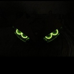 Булат Салимжанов, 18.12.1980, Алматы