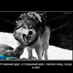 Мансур Магамадов