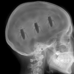 Лена Мирошниченко, 16.08.1988, Киев