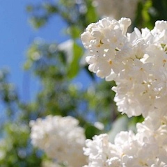 Виктория Курушина, 16.02