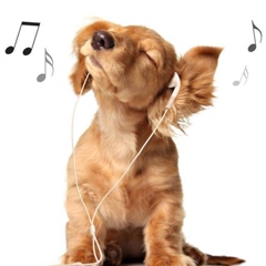 Алла Чижик, 28.03, Алматы