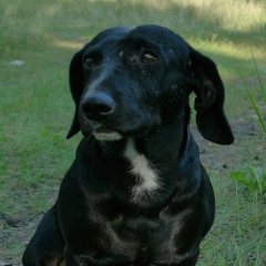 Андрей Ногтев, 13.04, Липецк
