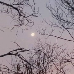 Лавр Куликов, 14.03.2006