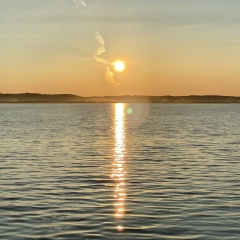 Indira Mussakhmetova, 25.04.1989, Los Angeles