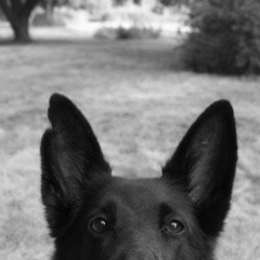 Roman Vladimirovich, 14.04.1991, Санкт-Петербург