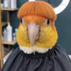 Сергей Ткач, 01.12.1990, Минеральные Воды