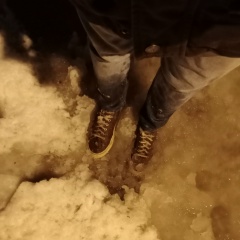 Виталий Королёв, Новосибирск