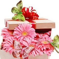 Анна Опря, 08.06.1981, Одесса