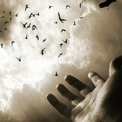 Валентин Поліщук, 16.11, Киев