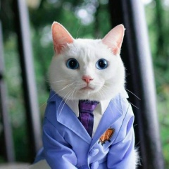 Азамат Сиюхов, 16.07.1979, Краснодар