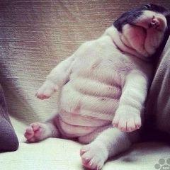 Bota Kuzmayeva, 29.05.1991