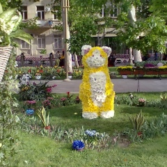 Elnur Aliyev, 25.07, Баку