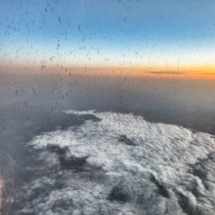 Елена Тигай, Москва